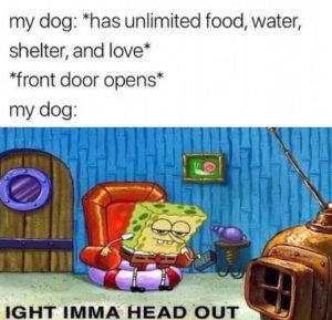 Ight Imma Head Out Meme Ight Imma Head Out Meme