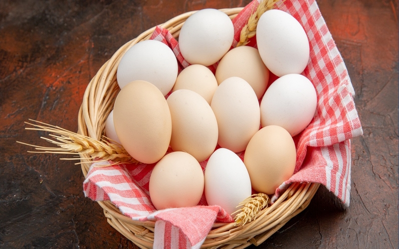 Egg Nutrition Spotlight: Unveiling the Protein Content in One Egg protein content in one egg